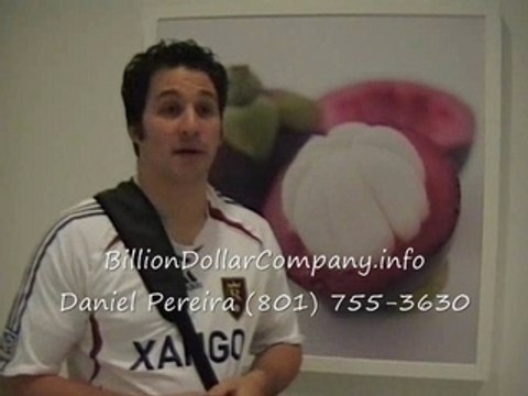 Provo Business Opportunities: Fastest Growing In History!