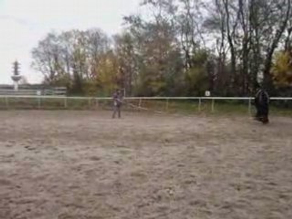 Frison Sidon 9  novembre 2008