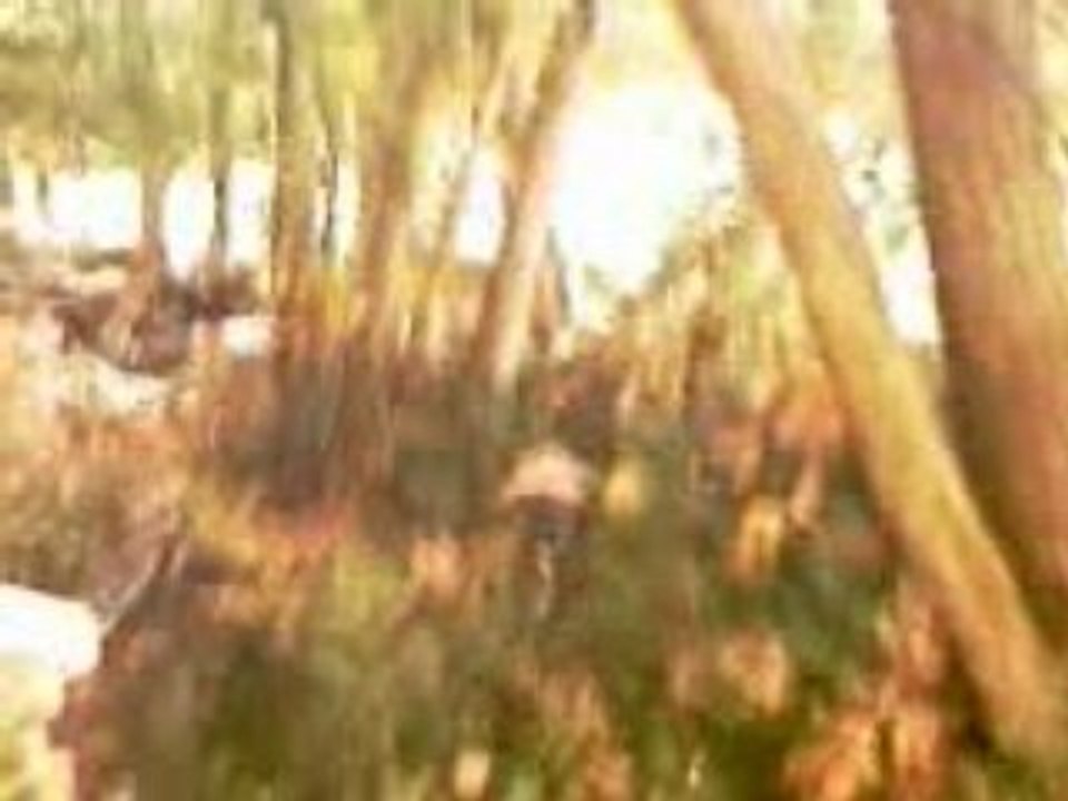 VIDEO_025