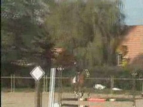 Elise et flamby 24 oct 04 st aubin