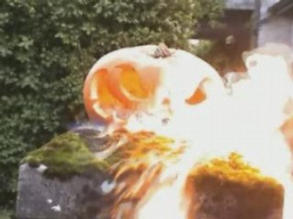 Pumpkin chaos