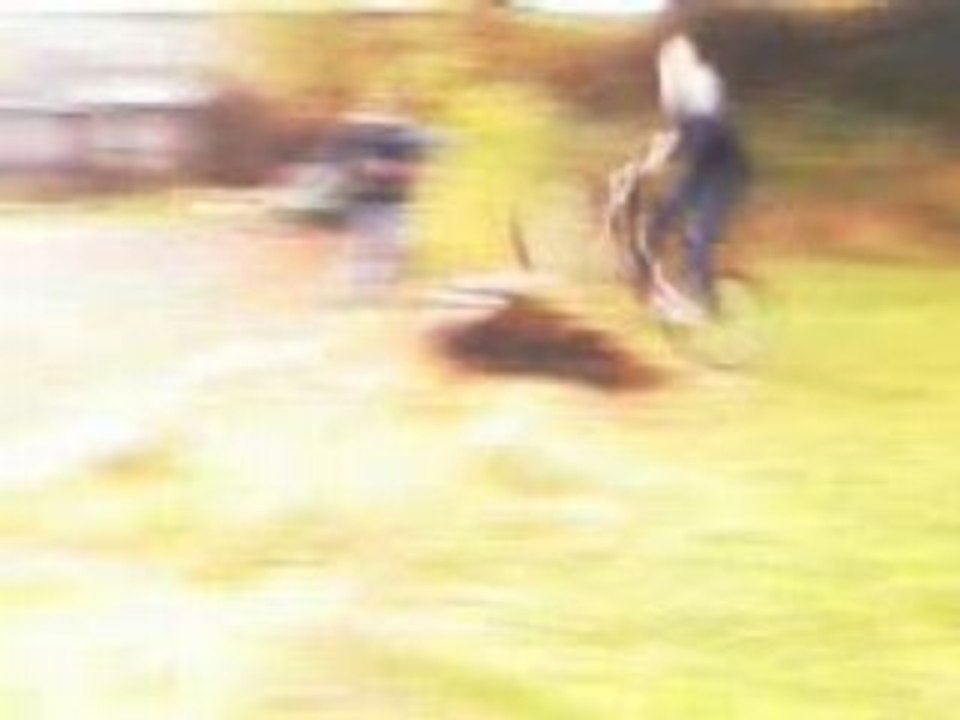 freeridee de vincent