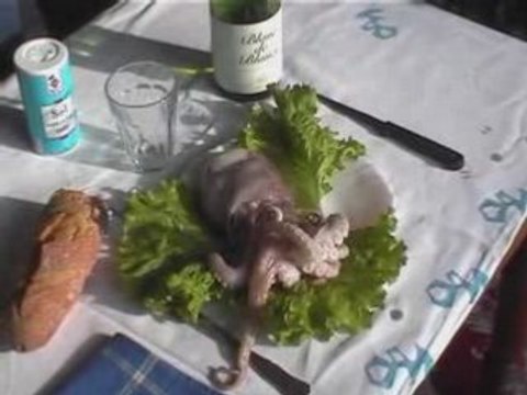 Fausse Pub Parodie Humour Le Poulpe Breton