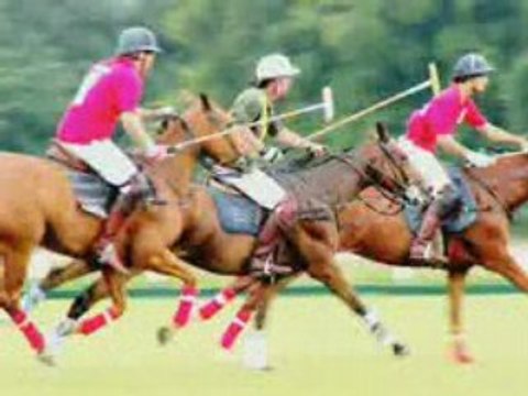 MOTEL 6 SANTA BARBARA CARPINTERIA NORTH Video Tour