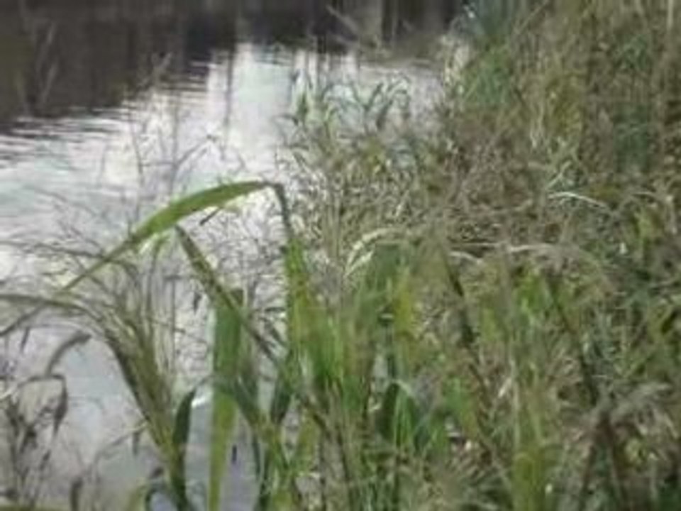 MOV00593