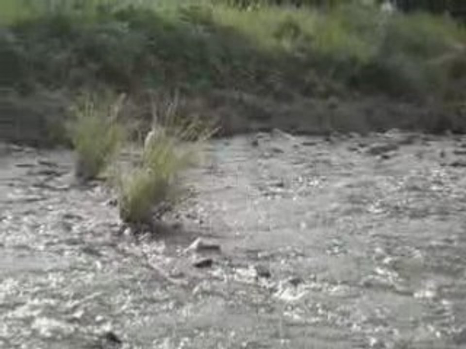 MOV00596