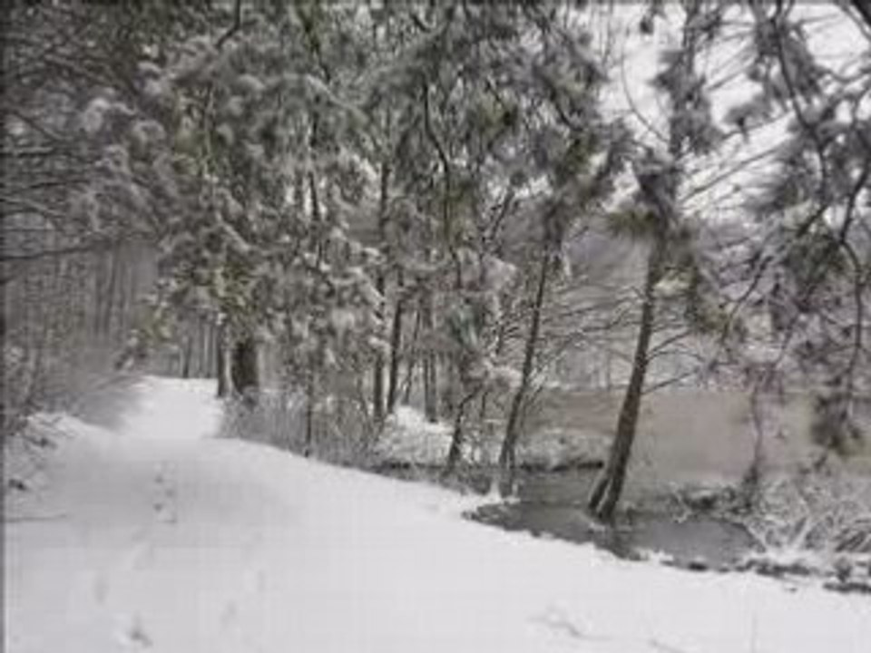Winter Snow Trail