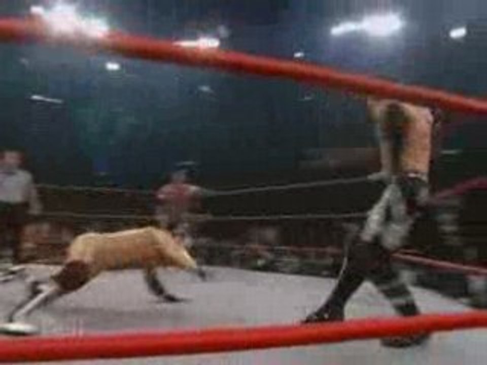 tna TURNING POINT PT 10