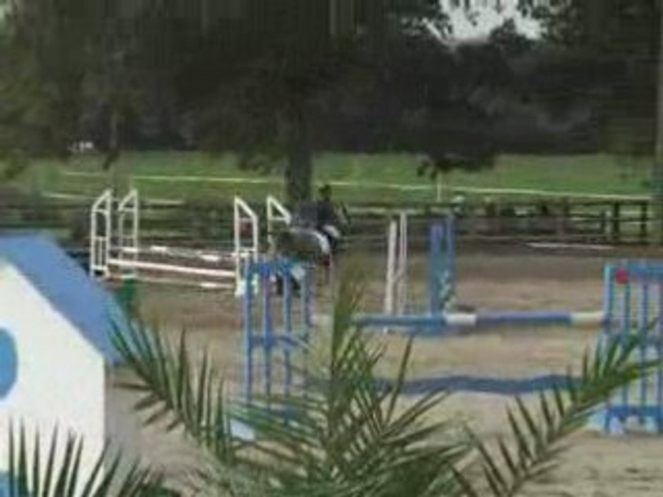 Papouille2