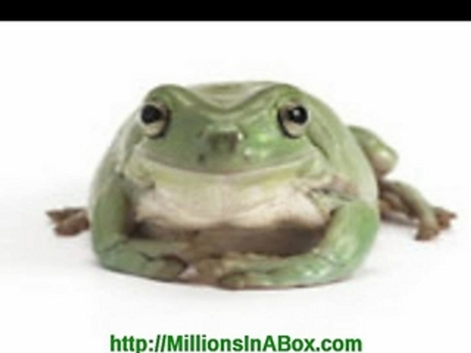 Robert Kiyosaki praises network marketing industry