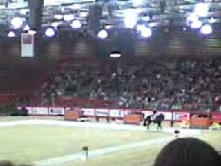 Equita-Lyon  Anky van grunsvelt