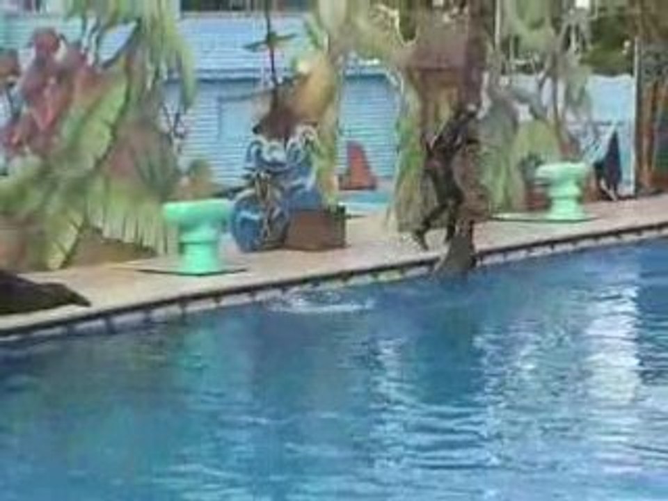 Marineland 3