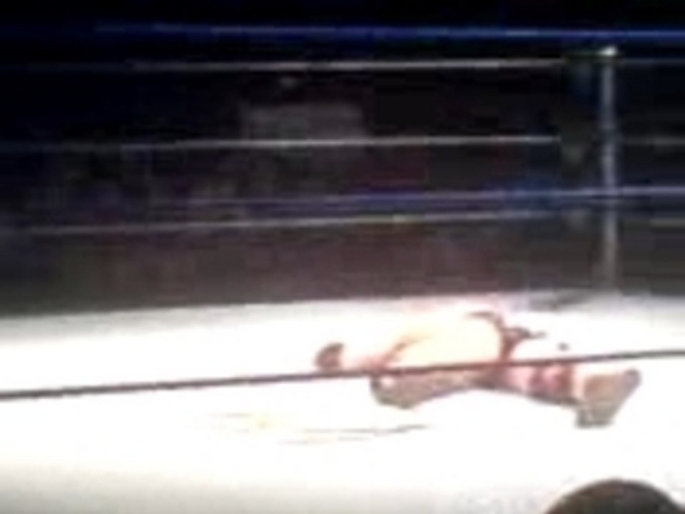 triple H pedigree a nice