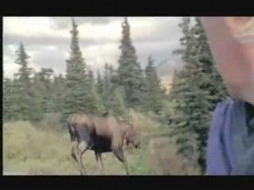 Turn Again Pass-desktop