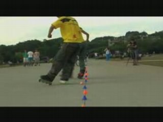 Morcegos - Brazil - São Paulo