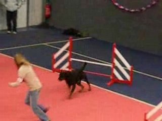 GPF Prestige nov.8 à Terves