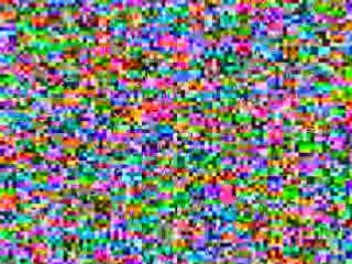 Texas Longhorns Clothing