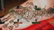 Mariage marocaine henna ambiance rif