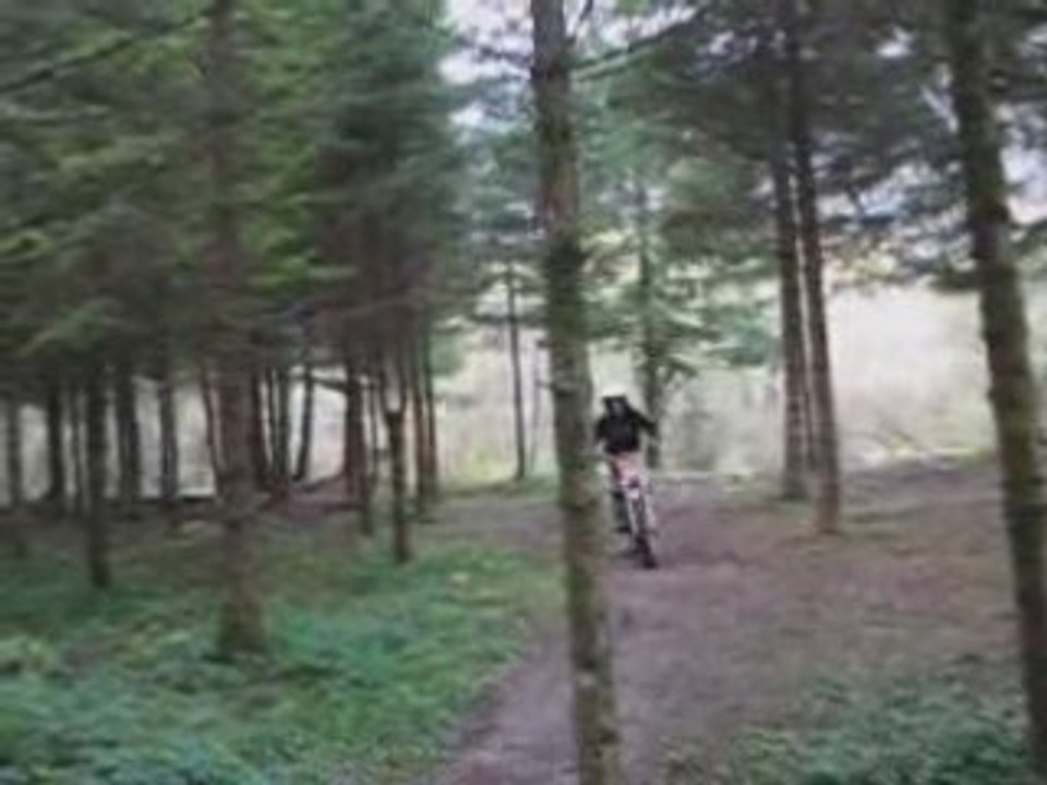 trial