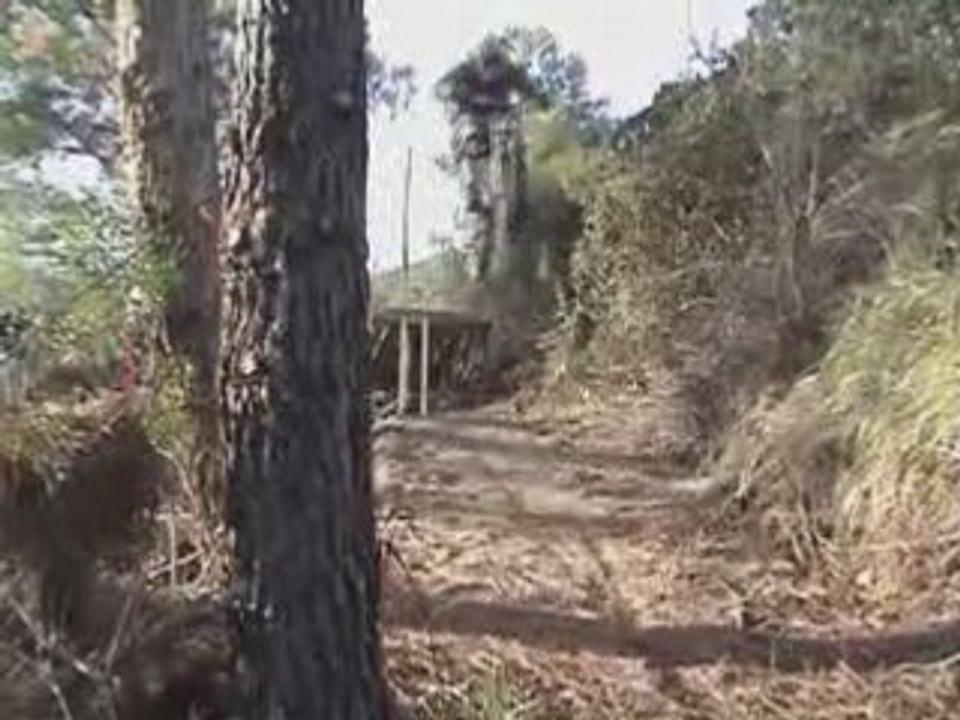 Thousand Wheels - New Gap 11-08