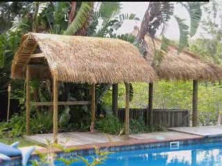 Gheorghe Iovu - Trecerea timpului