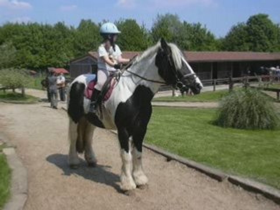 Pony Paradise mes meilleures amies