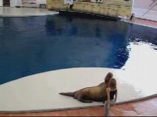 morse danse michael jackson