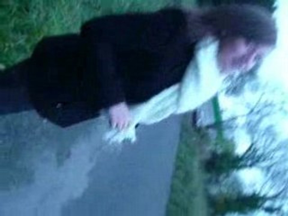 Photo 081