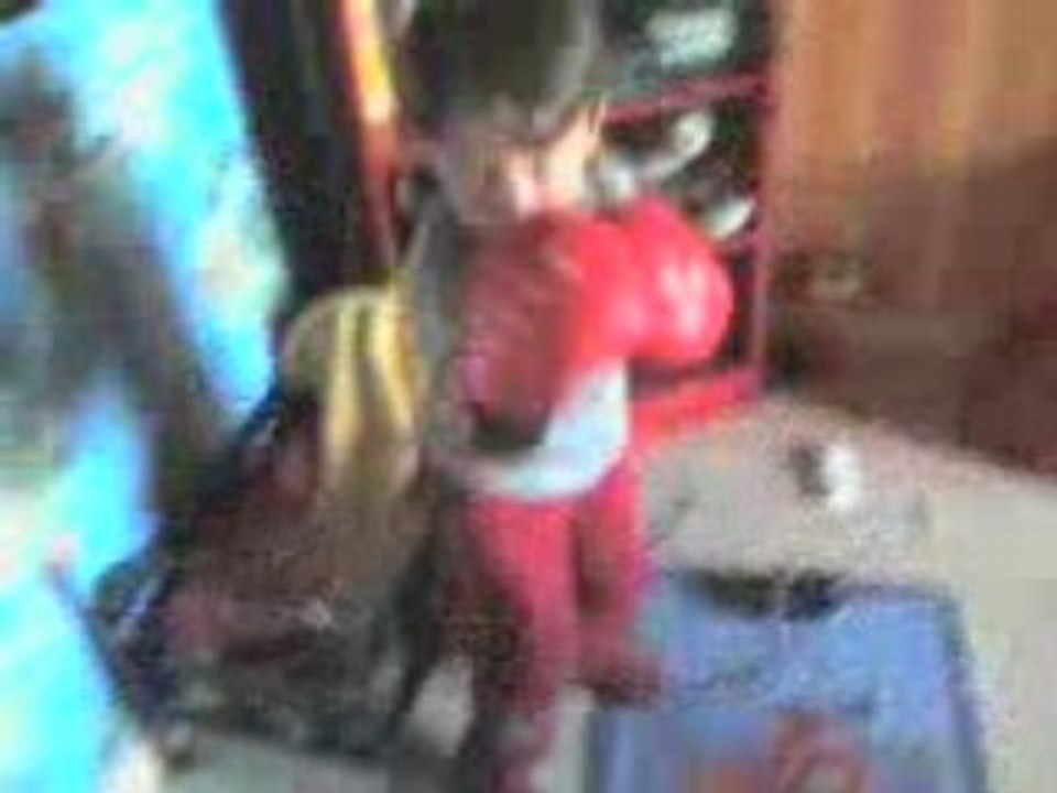 pti boxeur