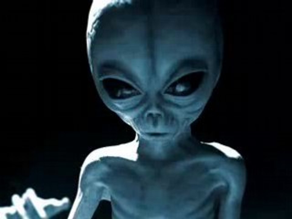 PUB - Suburban - Trunk Monkey °8