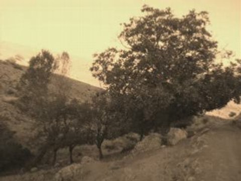 Aşık Nesimi Çimen - Tabip Sen Sorma Derdimi