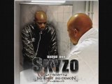 Skyzo - Retour de flamme