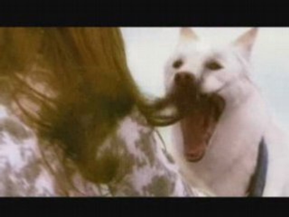 Bahashishi 「繋いだ手と手」