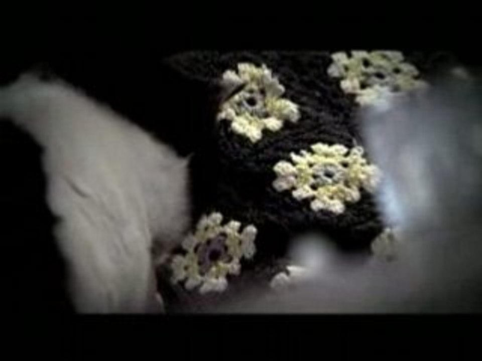 MTV ASIA BLING BLING GRANDMA