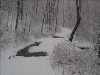 Winter Snow Storm Hiking Path