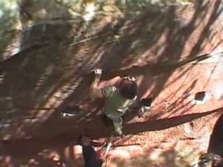 Requiem pour un labo