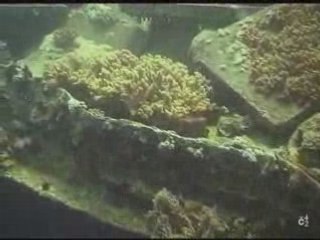 arrivederci THISTLEGORM