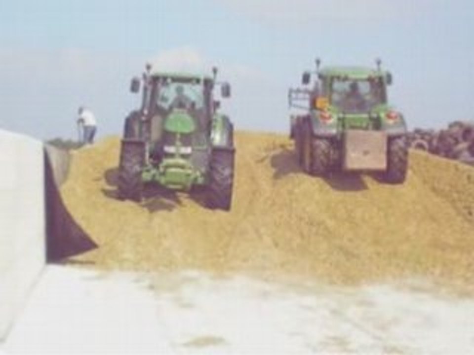 Ensilage de mais 2008