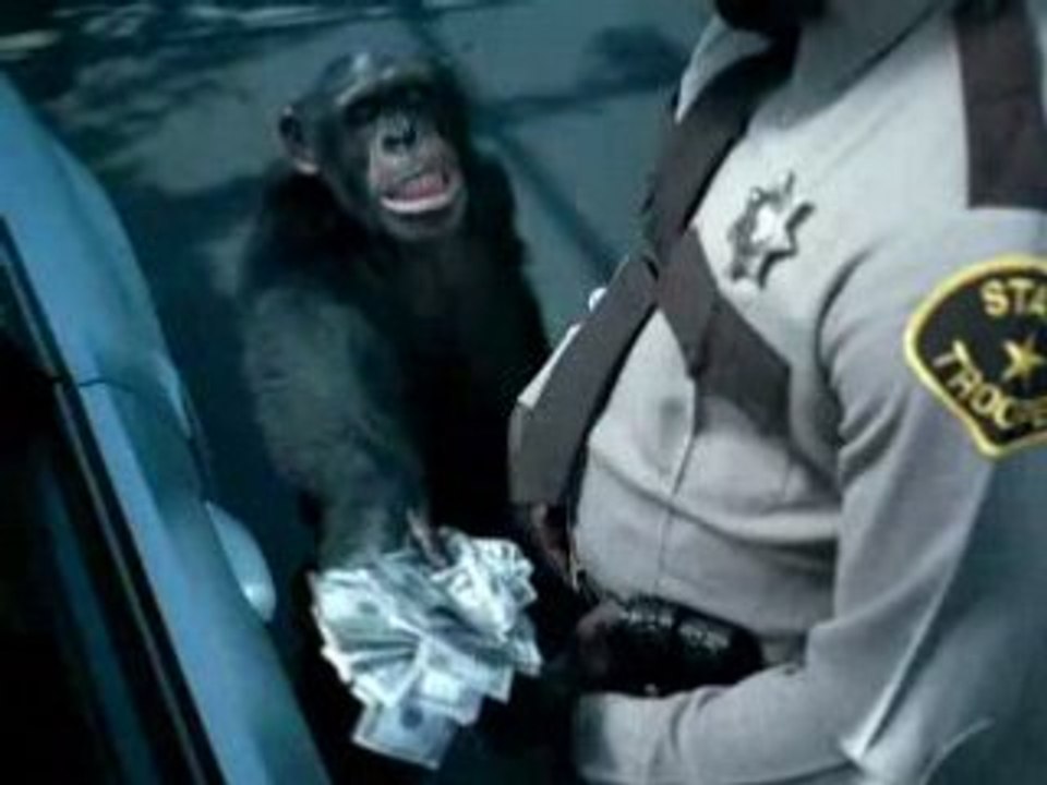 PUB - Suburban - Trunk Monkey °3