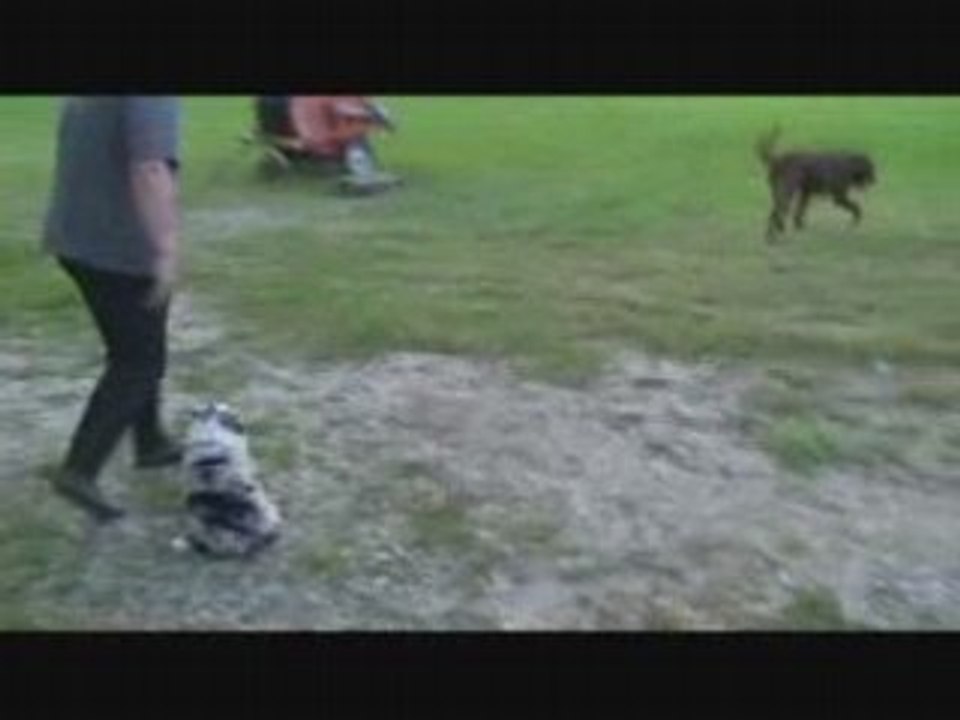 arrivée de apple a la maison