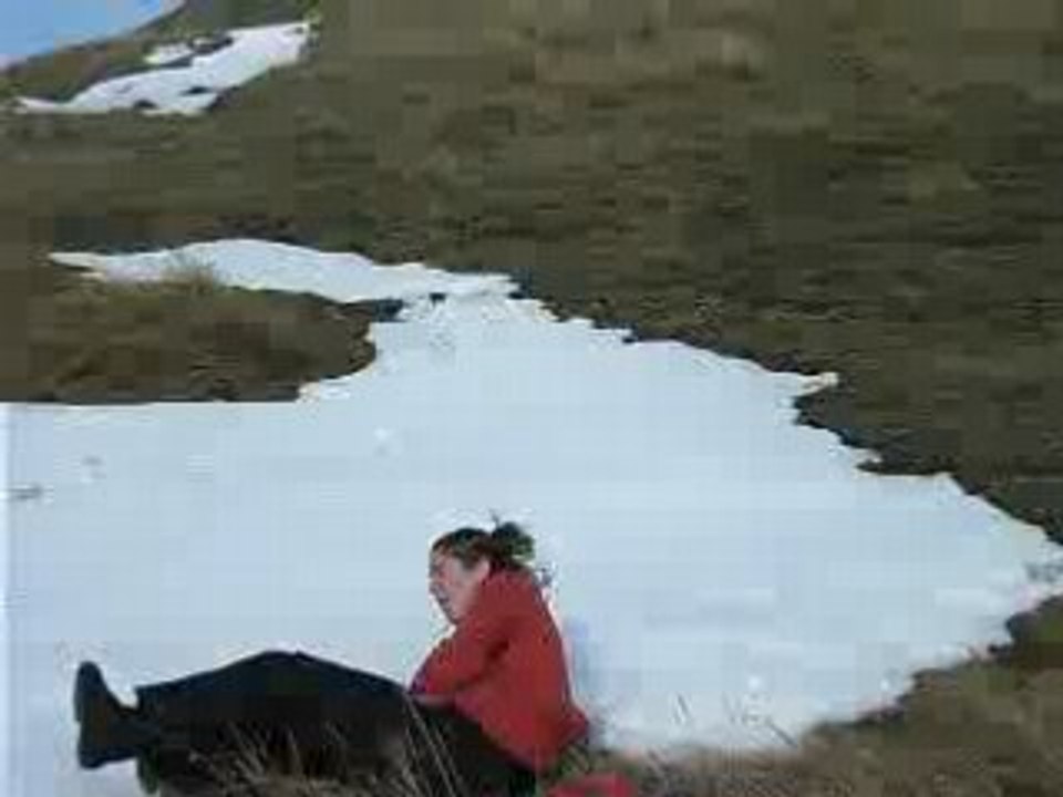 DSCF2479