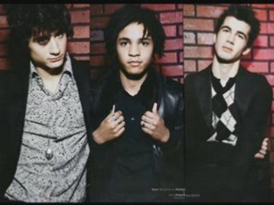 BB Brunes -  Cavalier Noir