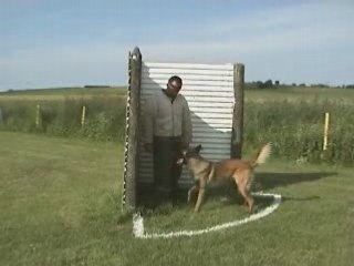 Bakari ring 2 cucvo (partie2)