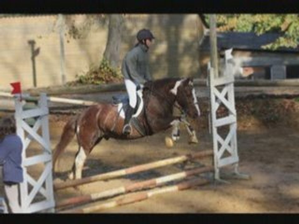moi et les chevaux