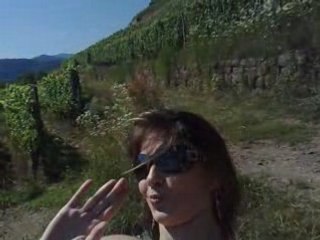 escapade dans le vignoble