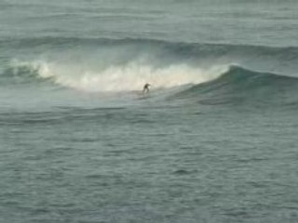 Alcyons - 10nov2008 - 1