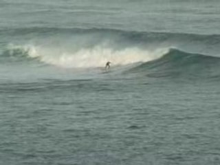 Alcyons - 10nov2008 - 1