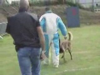 Bakari haye pesnel ring 2 partie 2