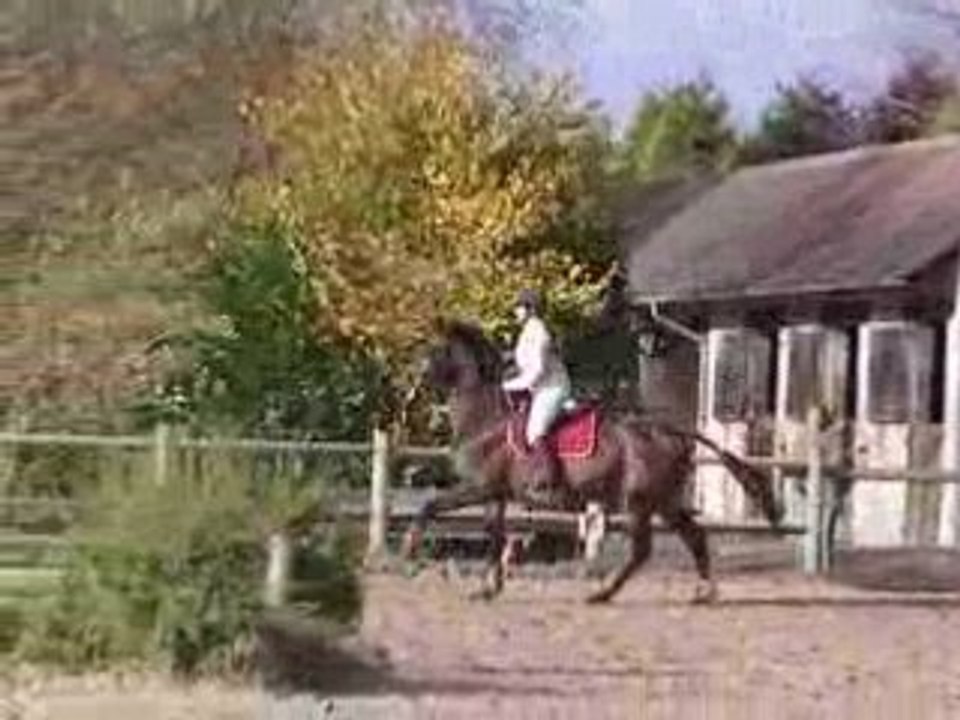 Chailly en bière 11-11-08