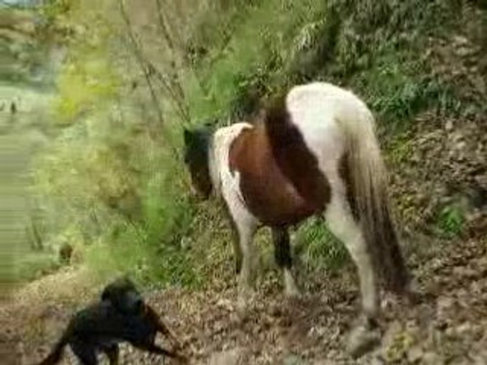 descente au pré